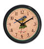 Multicolor Plastic Little Sparrow Kids Wall Clock