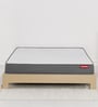 Livein Essential 6 Inch Memory Foam Orthopedic Queen Size Mattress