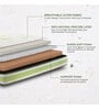 LiveIn 6 Inch Naturally Cool Latex Pincore Single Size Mattress