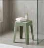 Livo Green Colour Modern Multi-Purpose End Table