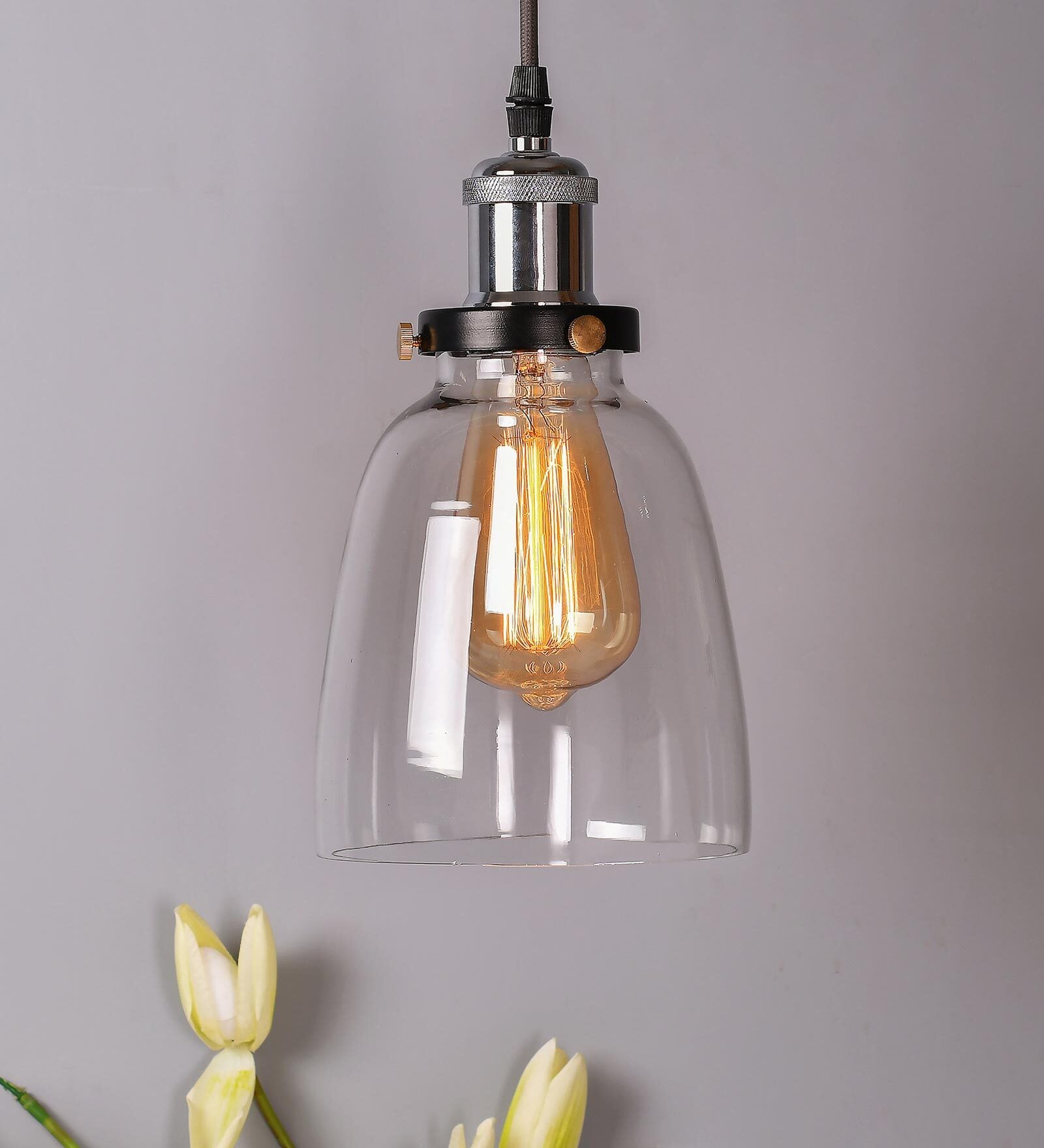 Louis Transparent Glass Hanging Light