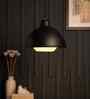 Lobbl Black Pendant Light
