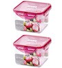 860 Ml Plastic Bisfree Stackable Container Set of 2