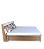 Lodgy Queen Size Bed with Storage in Brown Colour