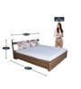 Lodgy Queen Size Bed with Storage in Brown Colour