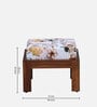 Loire Foot Stool in Floral Print (Set of 2)