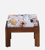 Loire Foot Stool in Floral Print (Set of 2)