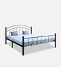 Lona King Size Metallic Bed in Black Colour