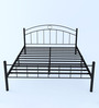 Lona King Size Metallic Bed in Black Colour