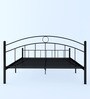 Lona King Size Metallic Bed in Black Colour