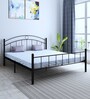 Lona King Size Metallic Bed in Black Colour