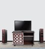 Look Out TV Console In Brown Teak Finish