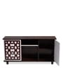 Look Out Two Door TV Console In Brown Teak Finish