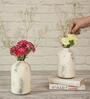 Lorain White Iron (Pack of 2) Vases