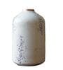 Lorain White Iron (Pack of 2) Vases