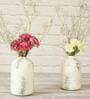 Lorain White Iron (Pack of 2) Vases