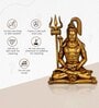 Lord Shiva Brown Resin  Idols