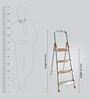 4 Steps 4.3 ft Aluminium Step Ladder