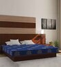 Lotus 4 Inch Natural Antimicrobial Foam Quilted Rubberised Coir King Size Mattress (With 2 Free Pillow)