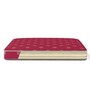 Lotus PU Foam 4 Inch Single Size Mattress