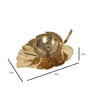 Lotus Brass Dia
