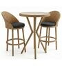 Lotus Wicker 2 Seater Bar set In Dull Birch Finish