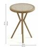 Lotus Wicker 2 Seater Bar set In Dull Birch Finish