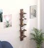 Wooden Wall Decor Floating Shelf Display 5 Shelves