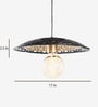 Achim Louvre Black Iron Hanging Light