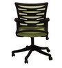 Mid Back Ergonomic Chair In In Lighte Green Colour Colour