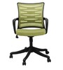 Mid Back Ergonomic Chair In In Lighte Green Colour Colour
