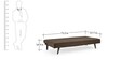 Luiz Sofa Cum Bed In Dark Brown Colour