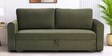 Luna Velvet Fabric Sofa Cum Bed in Olive Green Colour With Storage