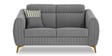 Luster Plus 2 Seater Sofa in Grey Colour