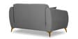 Luster Plus 2 Seater Sofa in Grey Colour