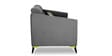 Luster Plus 2 Seater Sofa in Grey Colour