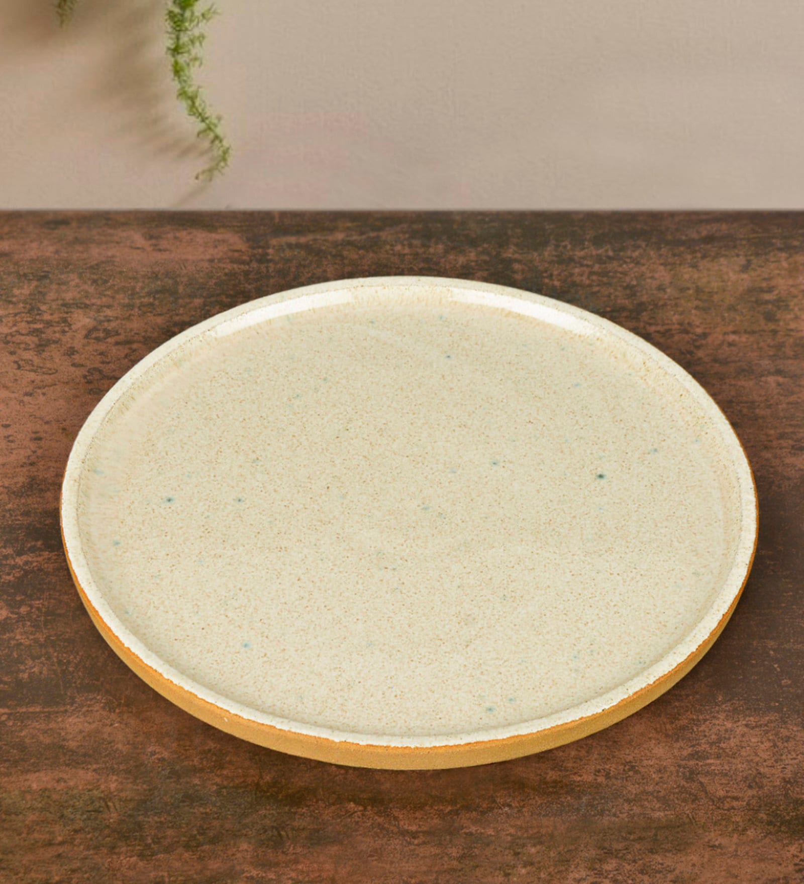 Luxurious Speckled Ceramic Appetizer Platter