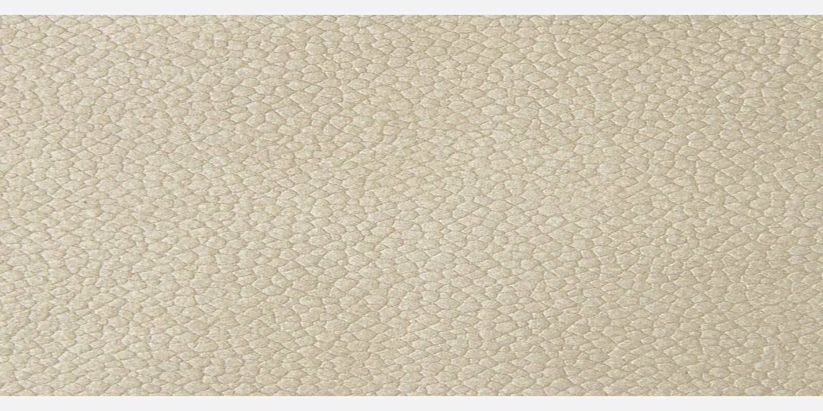 Lunara Vegan Leather 2 Seater Sofa In Ash Grey Colour