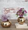 Lucan Gold Iron (Pack of 2) Vases
