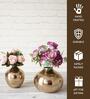 Lucan Gold Iron (Pack of 2) Vases