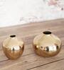 Lucan Gold Iron (Pack of 2) Vases