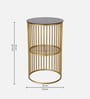 Lucca Metal End Table  in Golden Finish