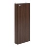 Lucia Shoe Cabinet In Walnut Finish