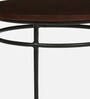 Luciano Metal End Table In Brown Colour