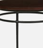 Luciano Metal End Table In Brown Colour