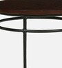 Luciano Metal End Table In Brown Colour