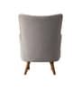 Flora Velvet Wing Chair In Grey Colour
