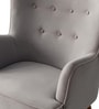 Flora Velvet Wing Chair In Grey Colour