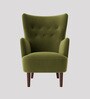 Ludwi Velvet Wing Chair In Mint Green Colour