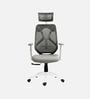 Lukano Breathable Mesh Ergonomic Chair In White And Grey Colour